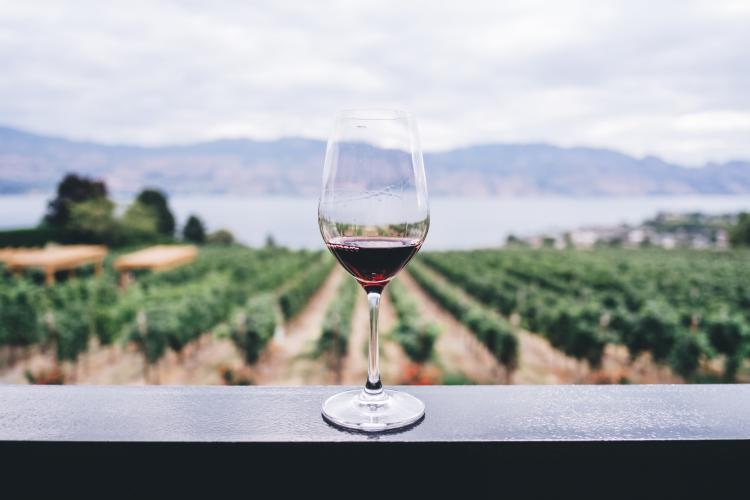 7 Viaggi per degustare il vino in Italia